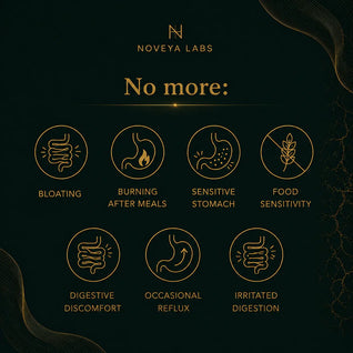 Mucora Wellness